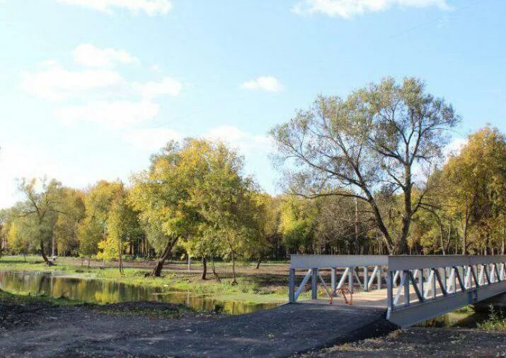 Парк баташи тула фото Баташи парк