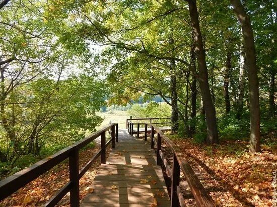 Парк берег реки сходня фото Правительство РФ - главные новости и последние события - страница 3498