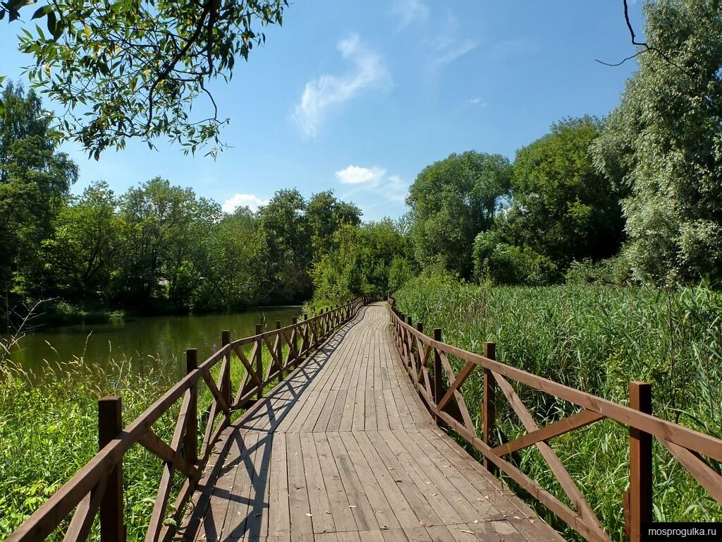 Парк берег реки сходня фото Долина реки Химки в парке "Покровское-Стрешнево"