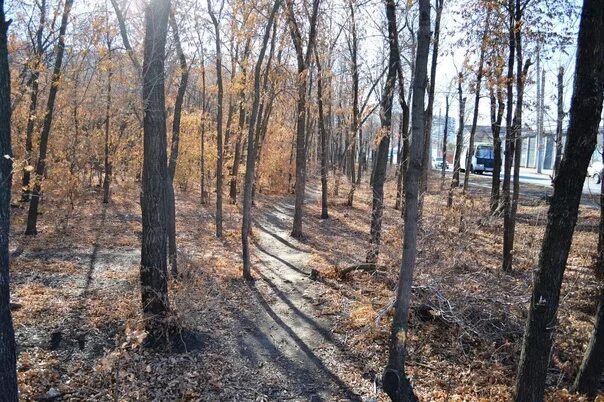 Парк березка оренбург фото In Orenburg, the prosecutor's office revealed a violation during the implementat