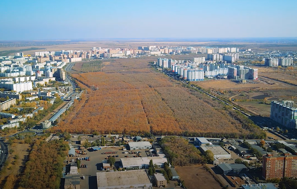 Парк березка оренбург фото В Оренбурге завершают благоустройство лесопарка "Березка" - ОРТ: ort-tv.ru