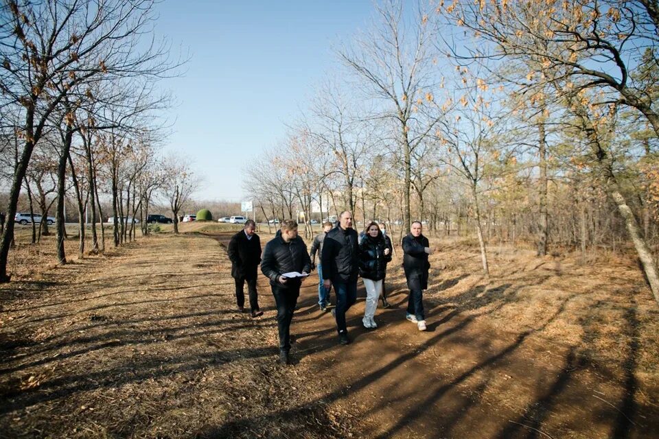 Парк березка оренбург фото В Оренбурге завершается двухлетнее благоустройство лесопарка "Березка" - KP.RU
