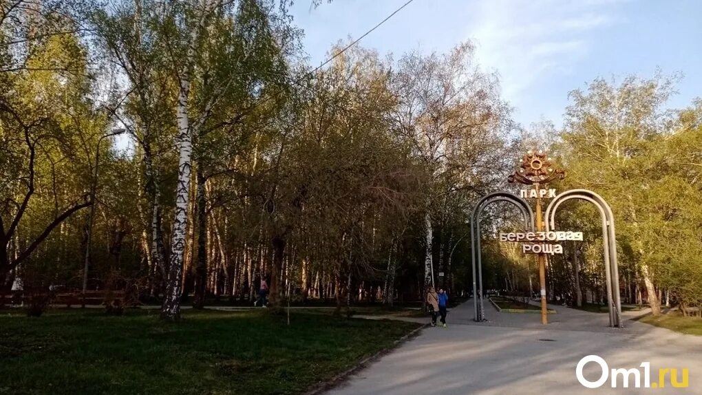 Парк березовая роща новосибирск фото В "Березовой роще" Новосибирска вырубят 200 деревьев - Новости Новосибирска - om