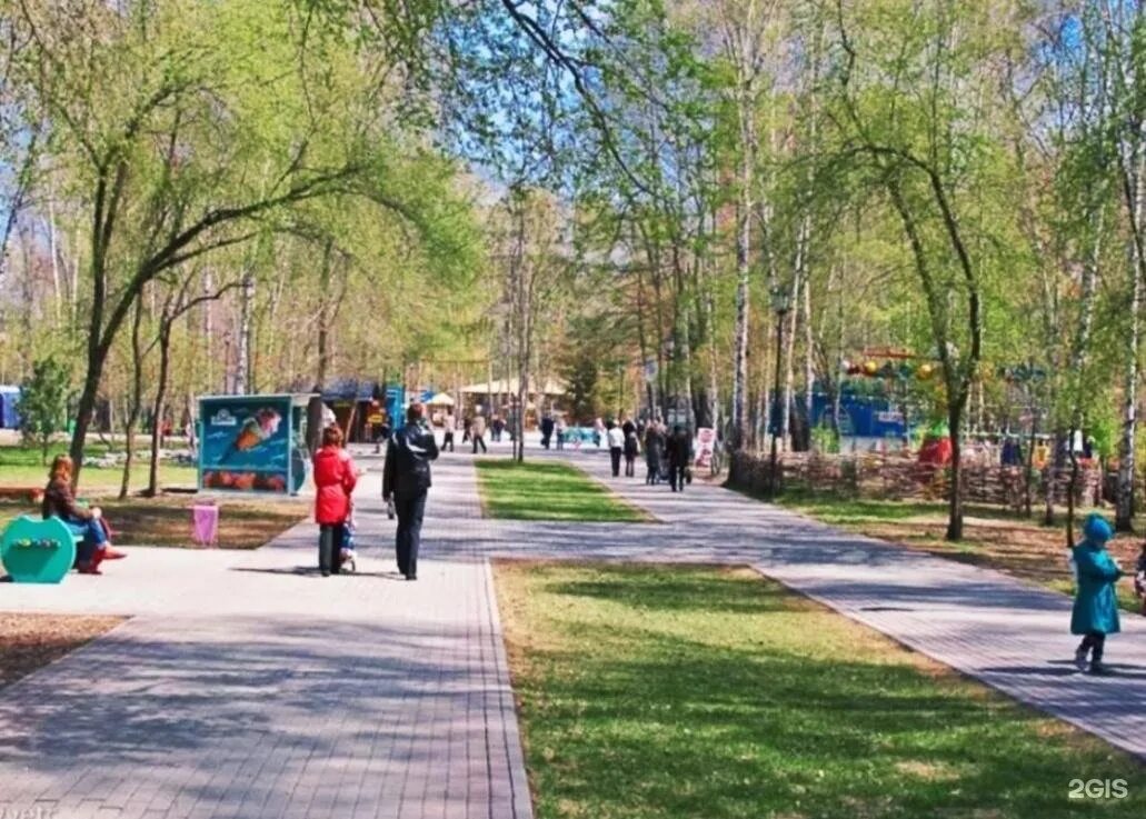 Парк березовая роща новосибирск фото Парк березовая роща новосибирск - Фото