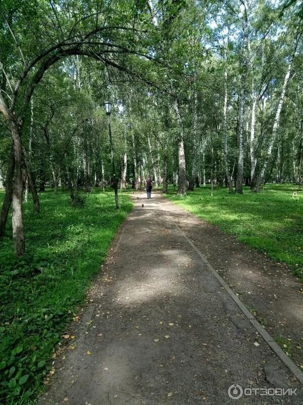 Парк березовая роща новосибирск фото Отзыв о Парк культуры и отдыха "Березовая роща" (Россия, Новосибирск) Если не см