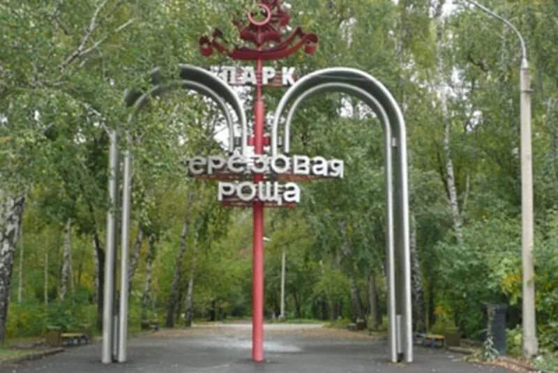 Парк березовая роща новосибирск фото Раскрыт грабеж в парке "Березовая роща"