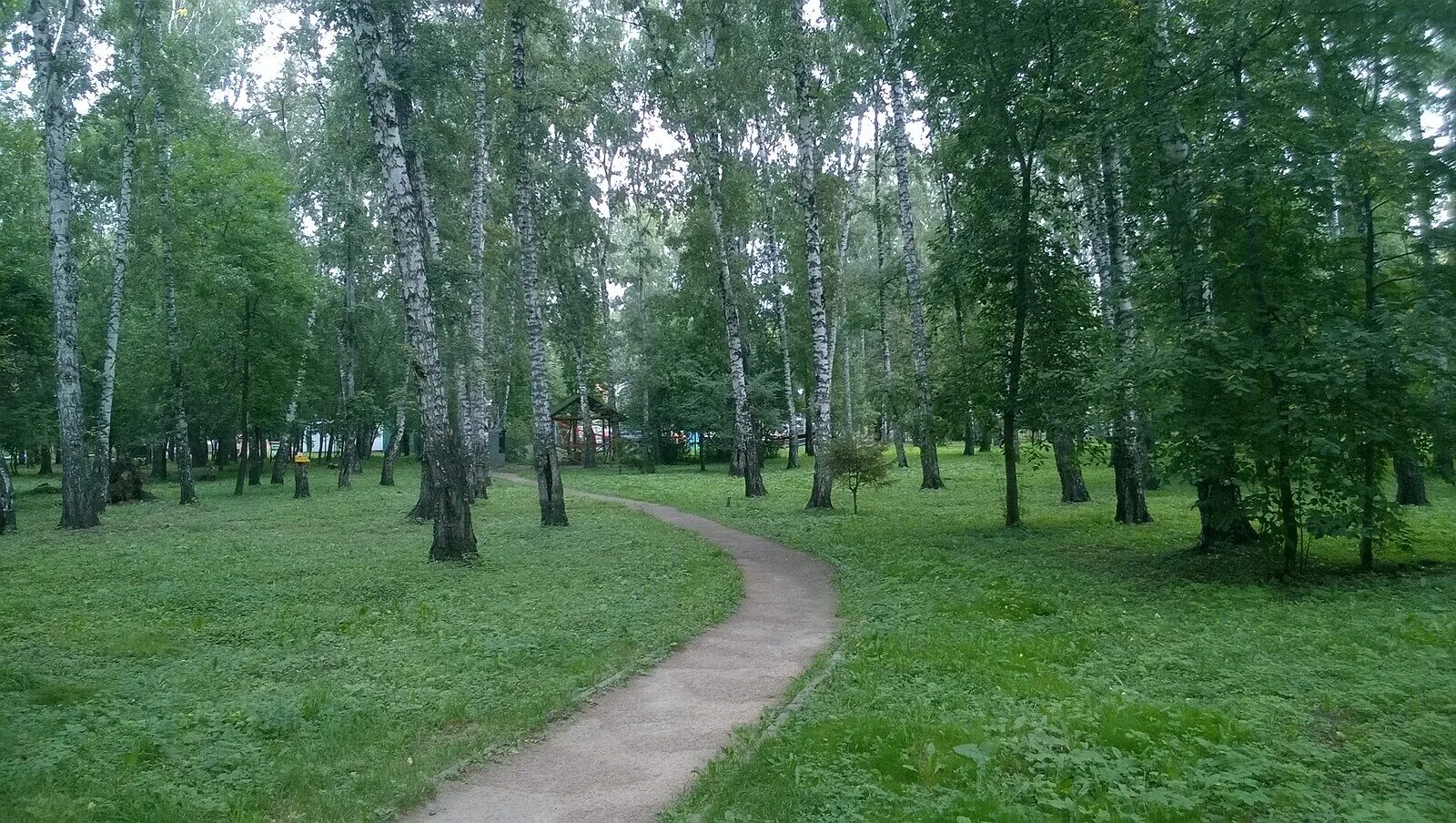 Парк березовая роща новосибирск фото Файл:Берёзовая роща, парк 22.jpg - Википедия