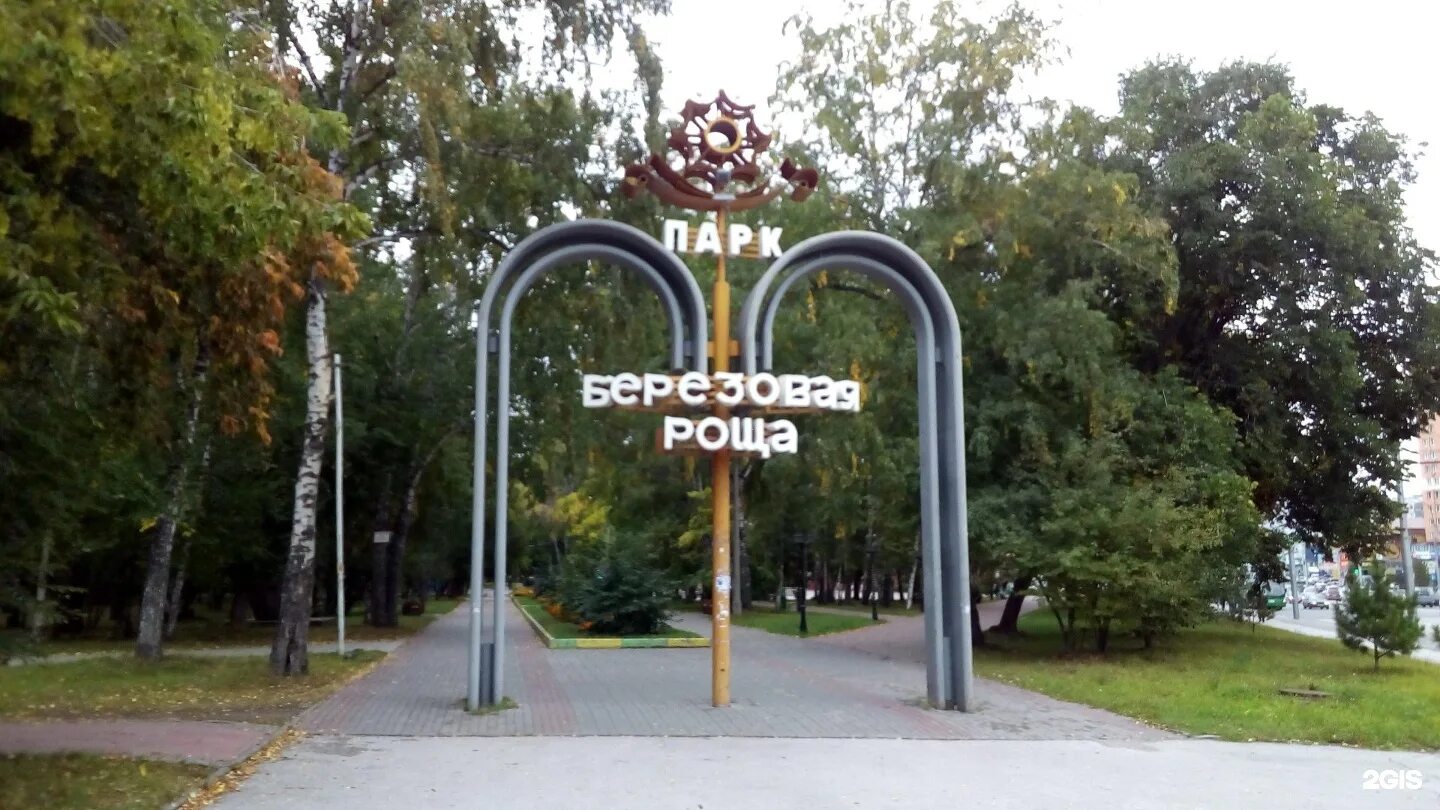 Парк березовая роща новосибирск фото Парк березовая роща новосибирск - Фото