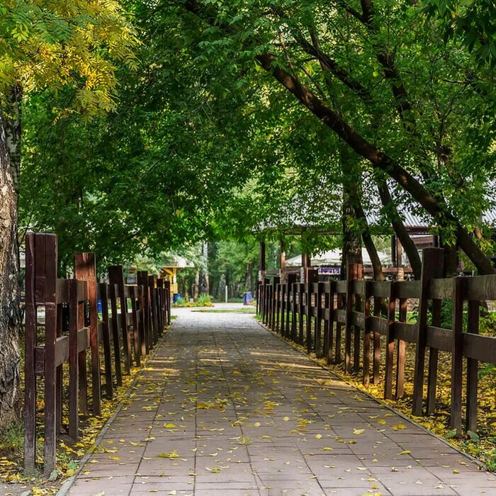 Парк березовая роща новосибирск фото Аттракционы