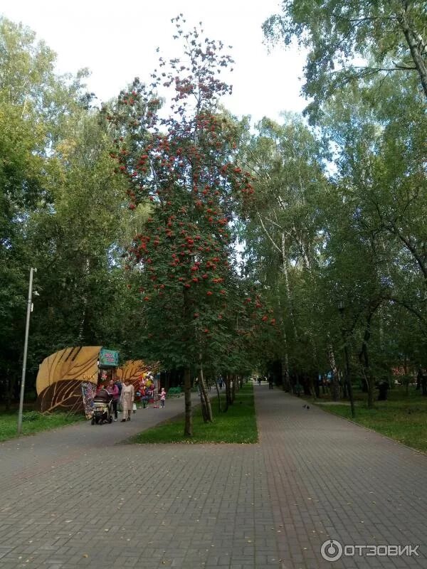 Парк березовая роща новосибирск фото Отзыв о Парк культуры и отдыха "Березовая роща" (Россия, Новосибирск) Если не см