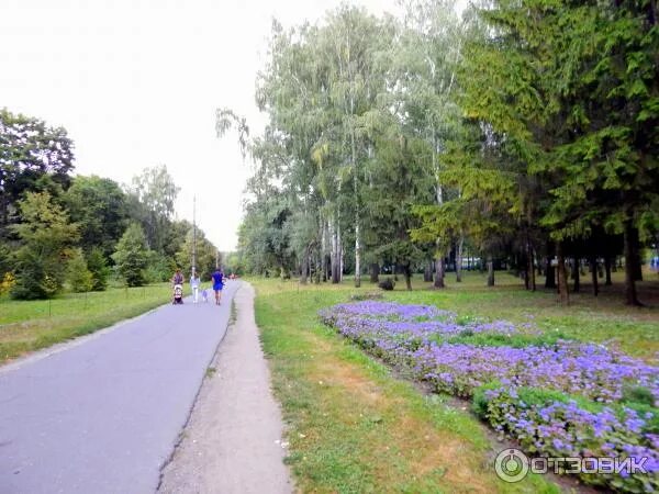 Парк боева дача курск фото Отзыв о Парк "Боева дача" (Россия, Курск) Отличное место для спорта и отдыха.