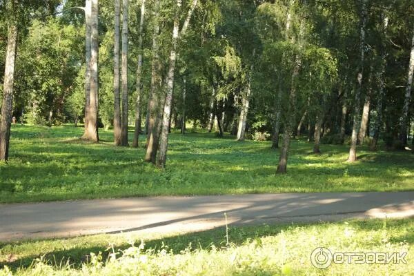 Парк боева дача курск фото Отзыв о Парк "Боева дача" (Россия, Курск) Удивительная атмосфера. Трудно поверит