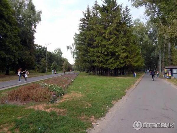 Парк боева дача курск фото Отзыв о Парк "Боева дача" (Россия, Курск) Отличное место для спорта и отдыха.