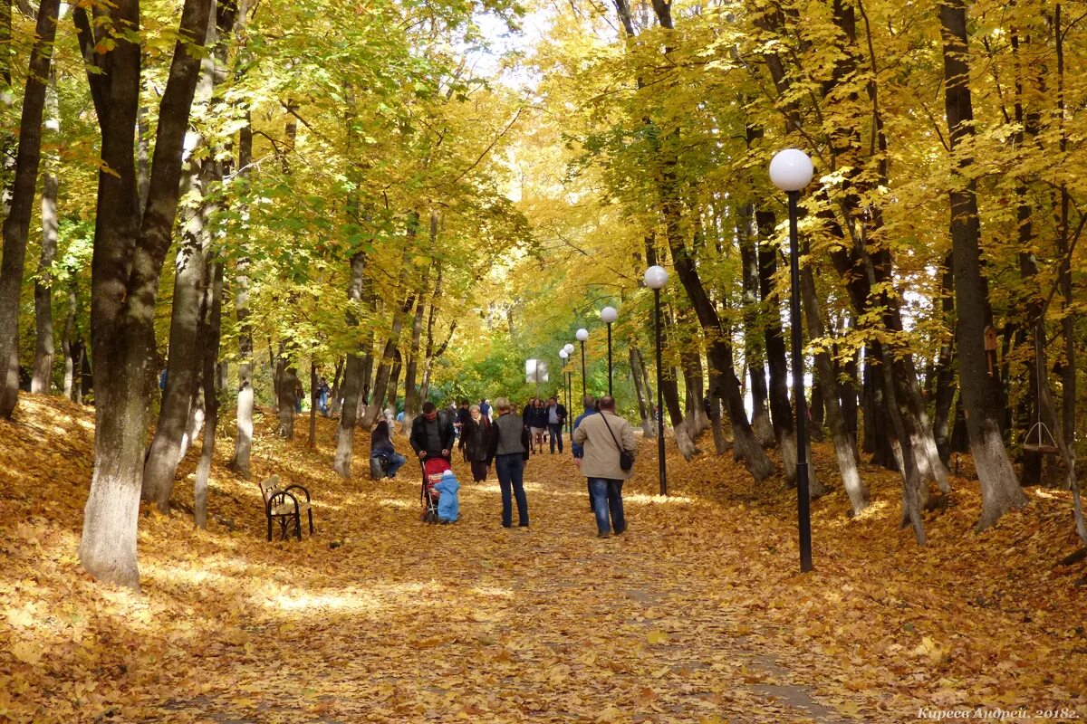 Парк ботаника в орле фото Городская среда Комфортная городская среда