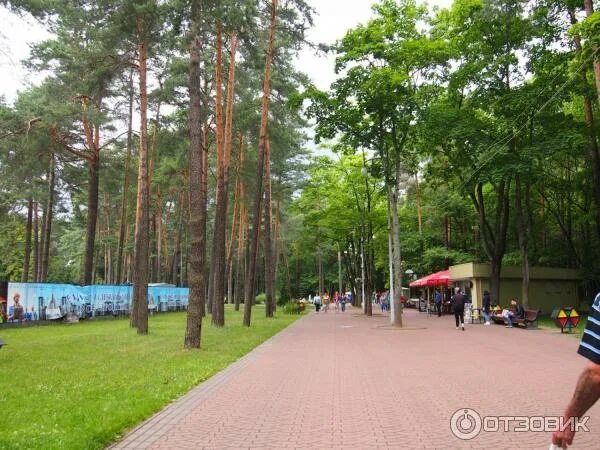 Парк челюскинцев просп независимости 88 минск фото Отзыв о Парк культуры и отдыха им. Челюскинцев (Беларусь, Минск) Хоть раз, но по