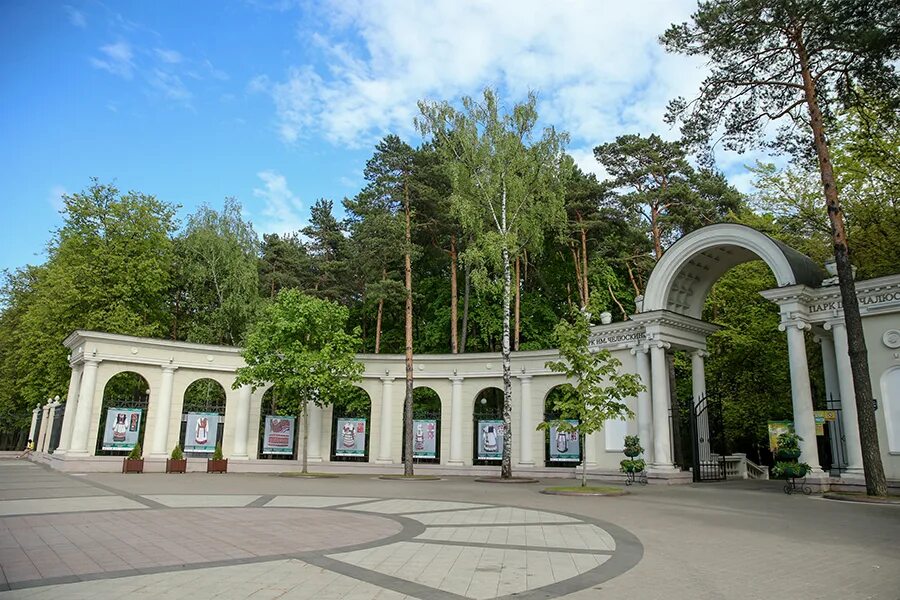 Парк челюскинцев просп независимости 88 минск фото В парке Челюскинцев вырубают некоторые деревья. Прошлись с работницей "Зеленстро