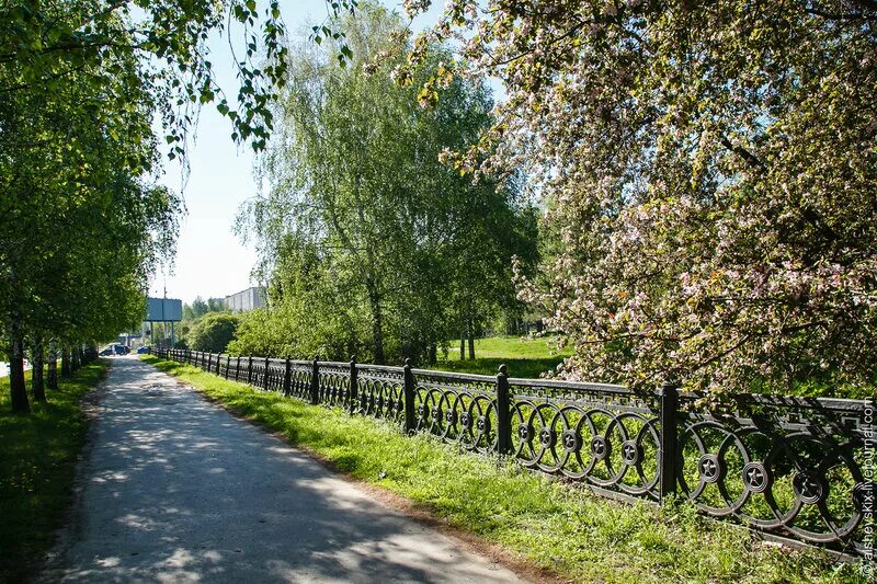Парк чкалова екатеринбург фото Парк на улице Чкалова - Андрей Альшевских - LiveJournal