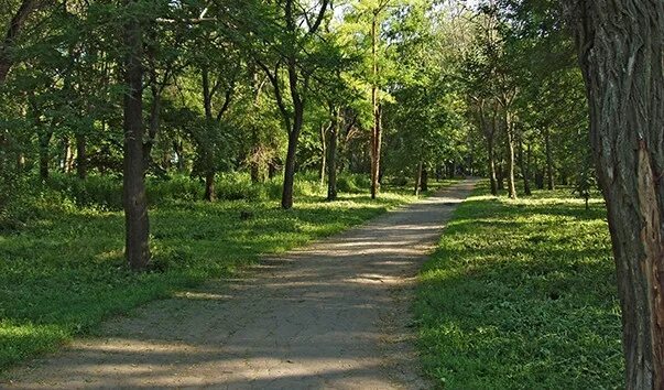 Парк чуковского ростов на дону фото ДОН24 - На содержание четырех скверов в Ростове власти потратят почти 10 млн руб