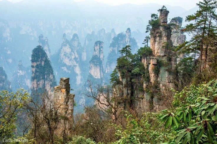 Парк чжанцзяцзе китай фото Pin by Tolu on Illustrated Universe Photo tour, Forest park, China travel destin