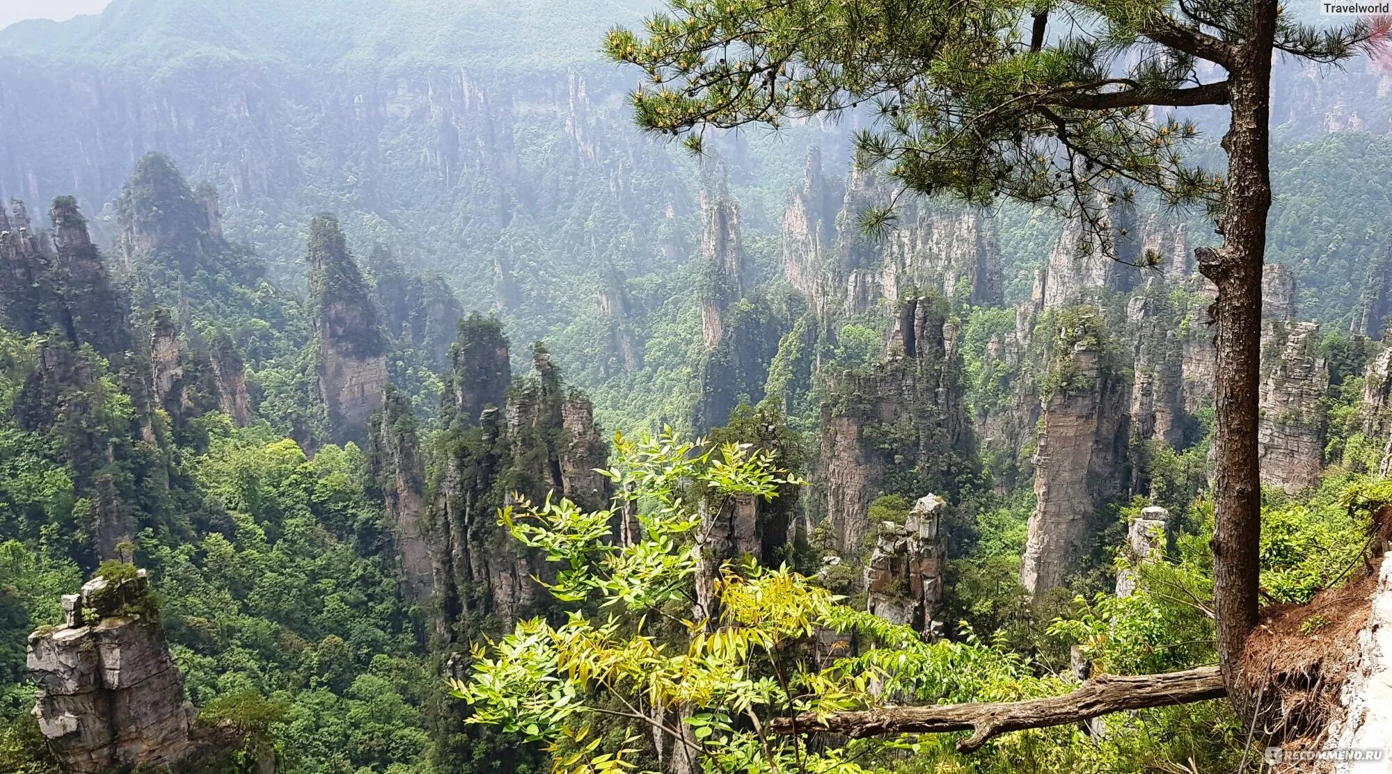 Парк чжанцзяцзе китай фото Китай, национальный парк Чжанцзяцзе (парк Аватара) - "Удивительный Китай. Национ