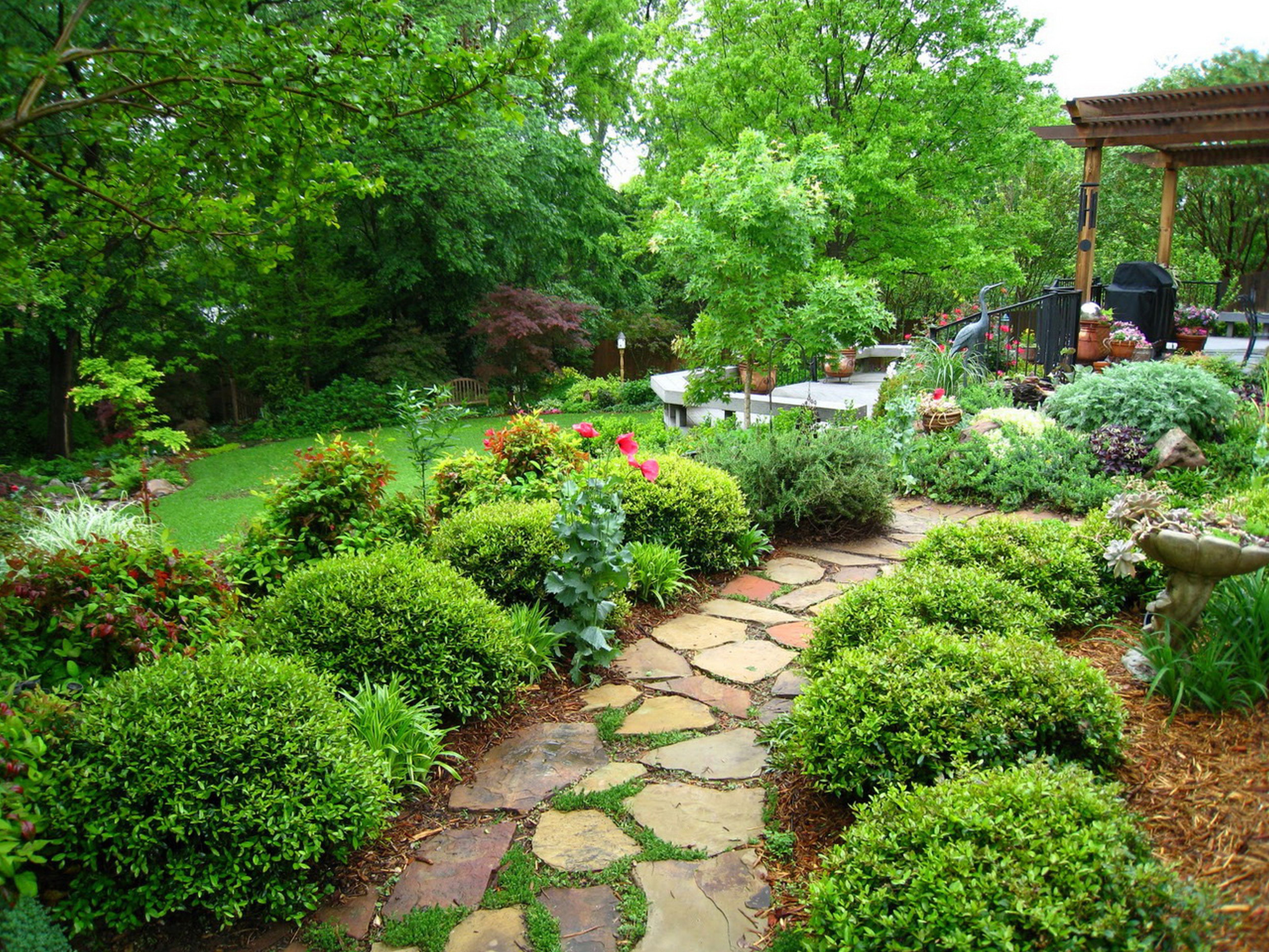 Парк дачи фото Top 22 Images Inspiration For Cheap Plants For Landscaping Small backyard landsc