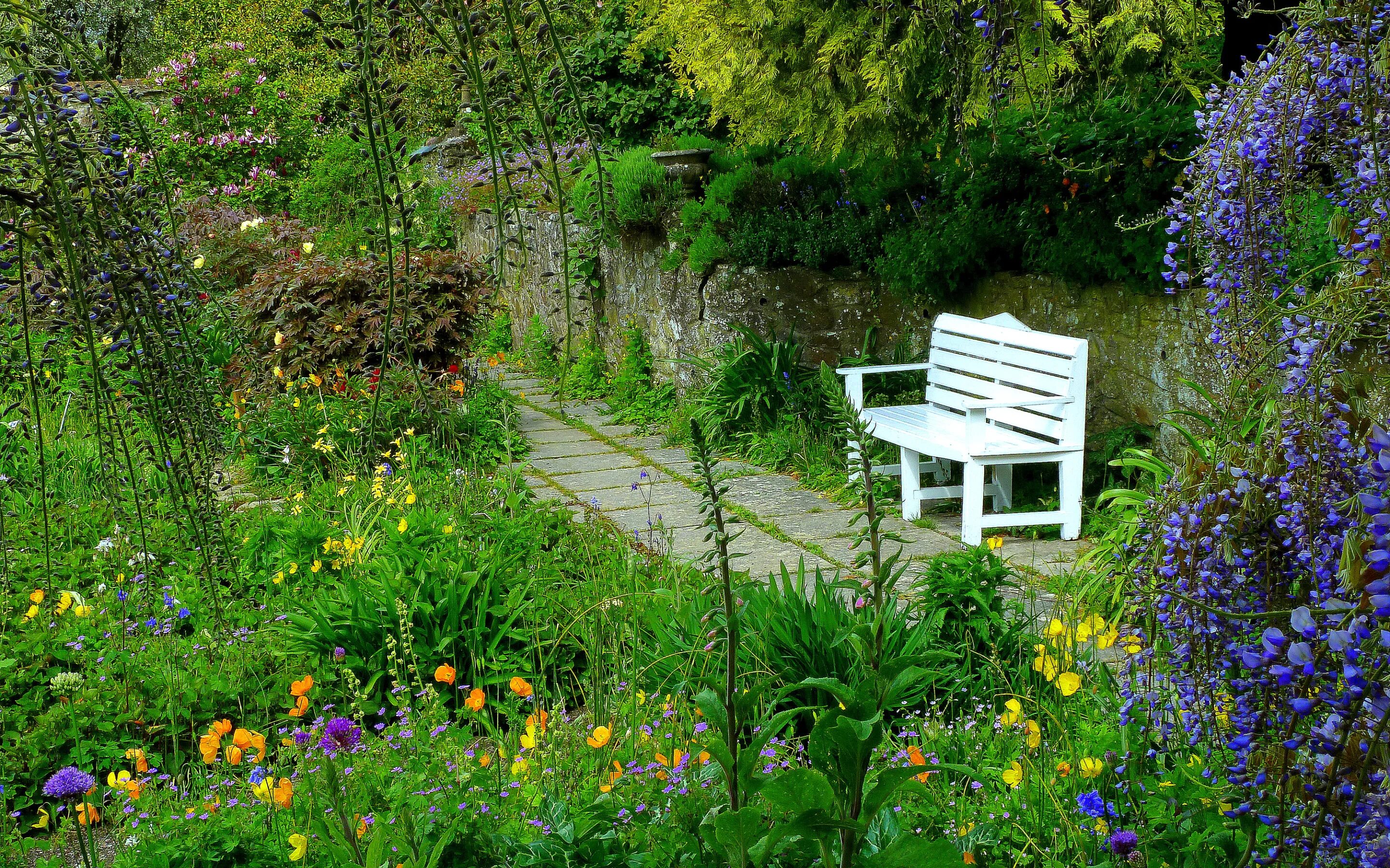 Парк дачи фото Download wallpaper flowers, Park, garden, bench, section landscapes in resolutio