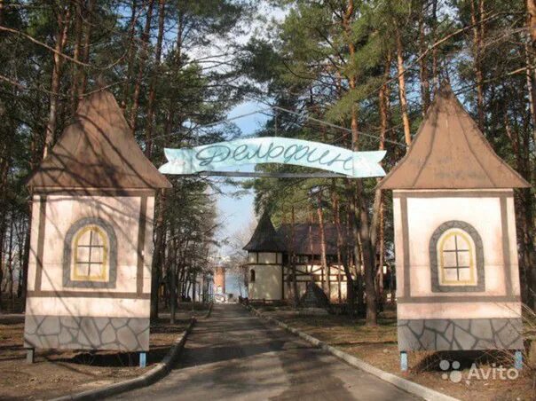 Парк дельфин воронеж фото Парк дельфин купол