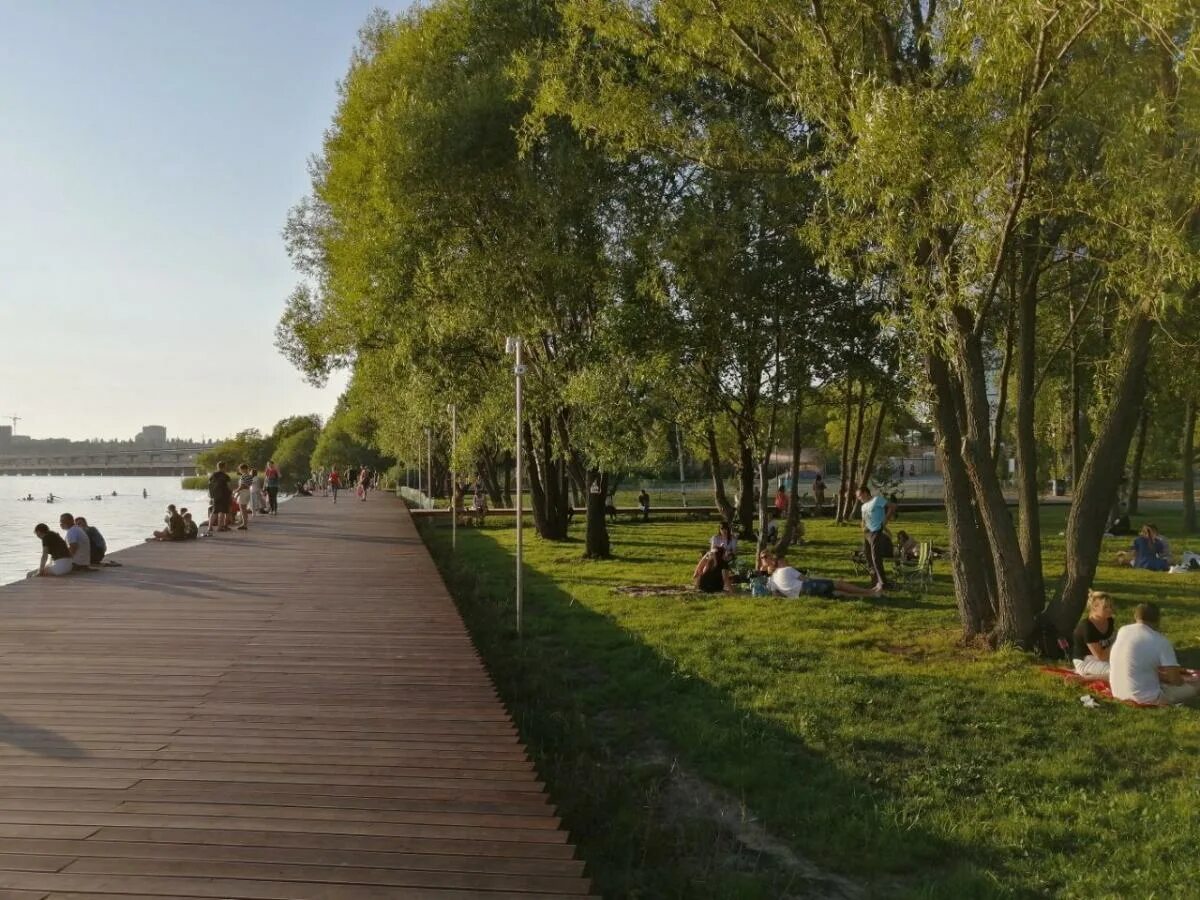 Парк дельфин воронеж фото В Воронеже в рамках концессии продолжат развивать парк "Дельфин" - RuNews24.ru -