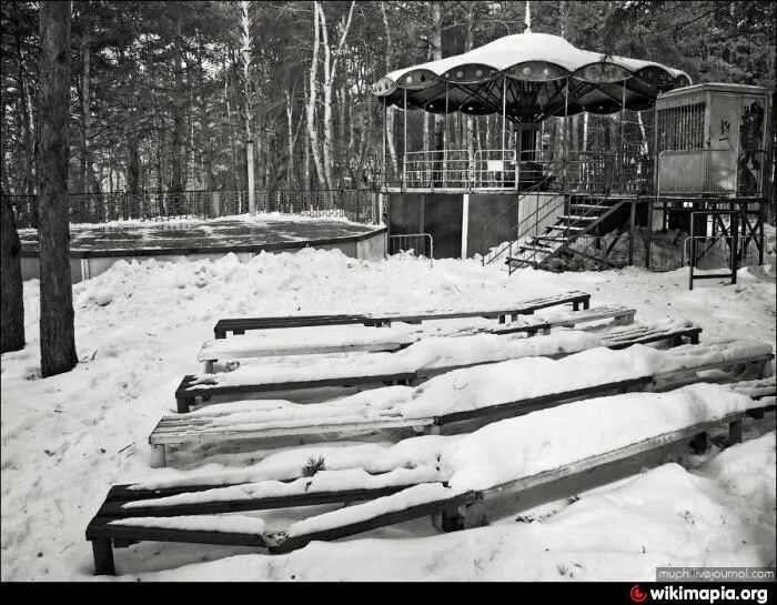 Парк дельфин воронеж фото Путешествуем по паркам Воронежа. Парк, Фотографии, События