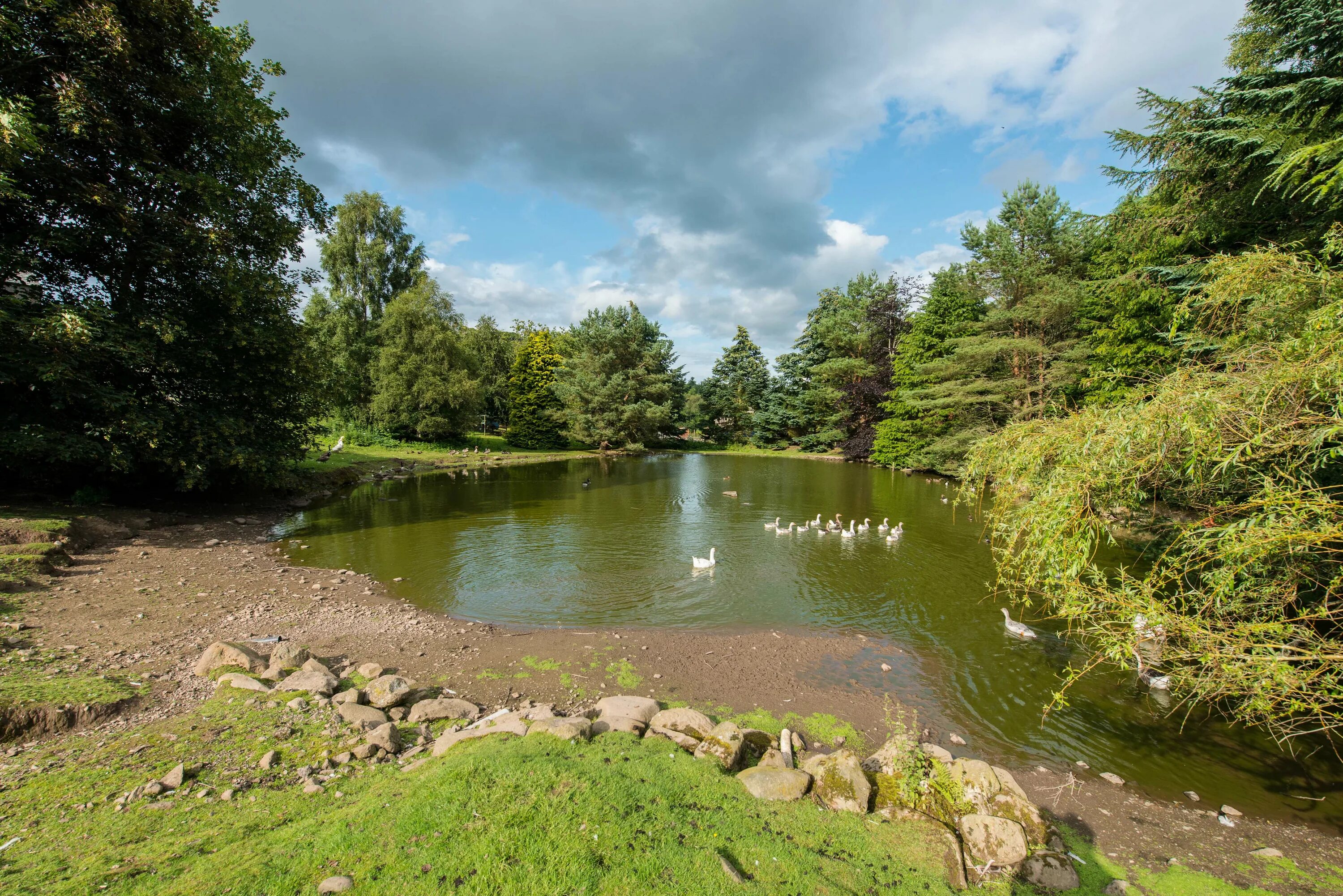 Парк дикий фото This wildlife park could be yours for £ 1.5m - complete with lemurs, meerkats an