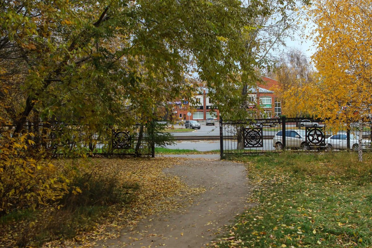 Парк дикий фото Осеннее предвкушение. Как самый "дикий" парк Барнаула замер в ожидании перемен Т