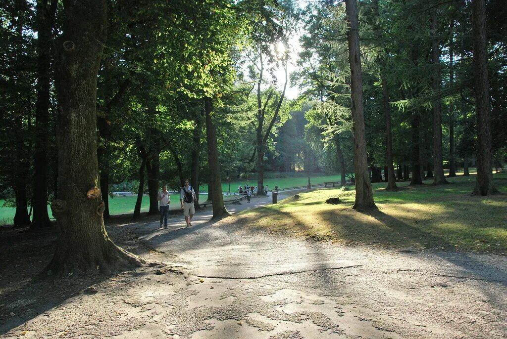 Парк дикий фото Дико парк