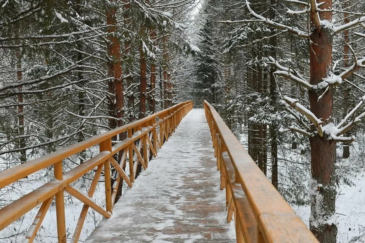 Парк дикий селтинский район фото Навесную экологическую тропу создали в Селтинском районе Удмуртии