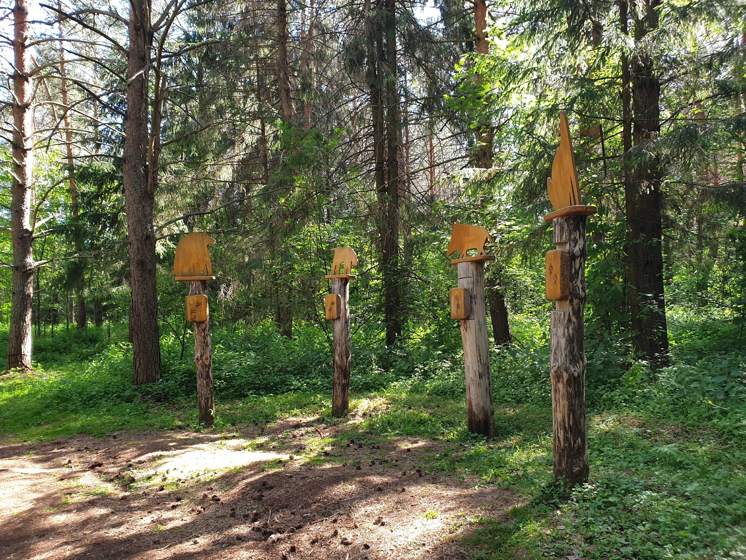 Парк дикий селтинский район фото Летний лес - Дикий Парк