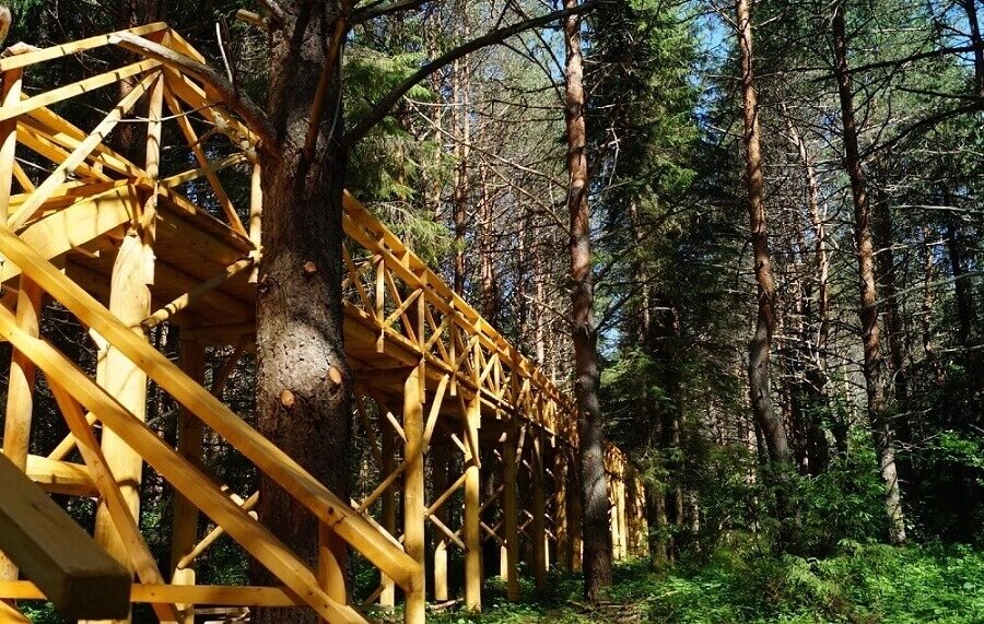 Парк дикий селтинский район фото Парк "Дикий" (Удмуртия, Селты): экологическая тропа, наблюдение за животными, ве