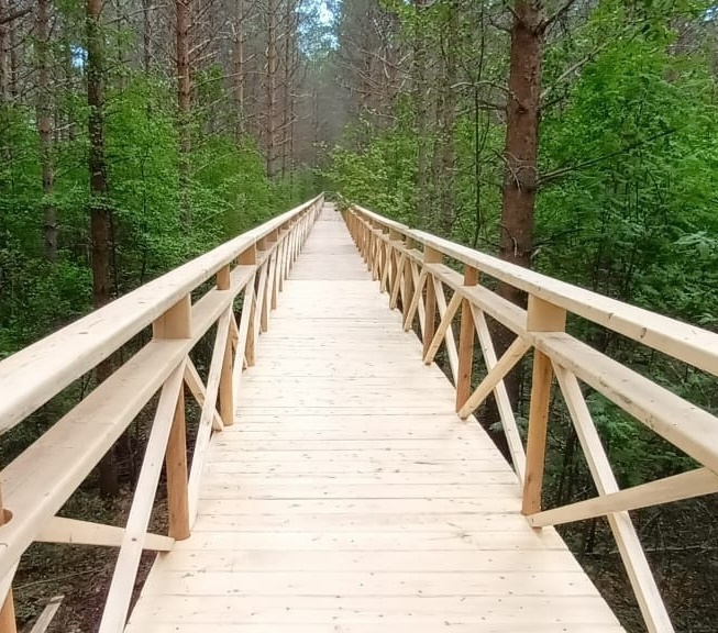 Парк дикий селтинский район фото Селтинская районная библиотека 7 причин посетить Селтинский район