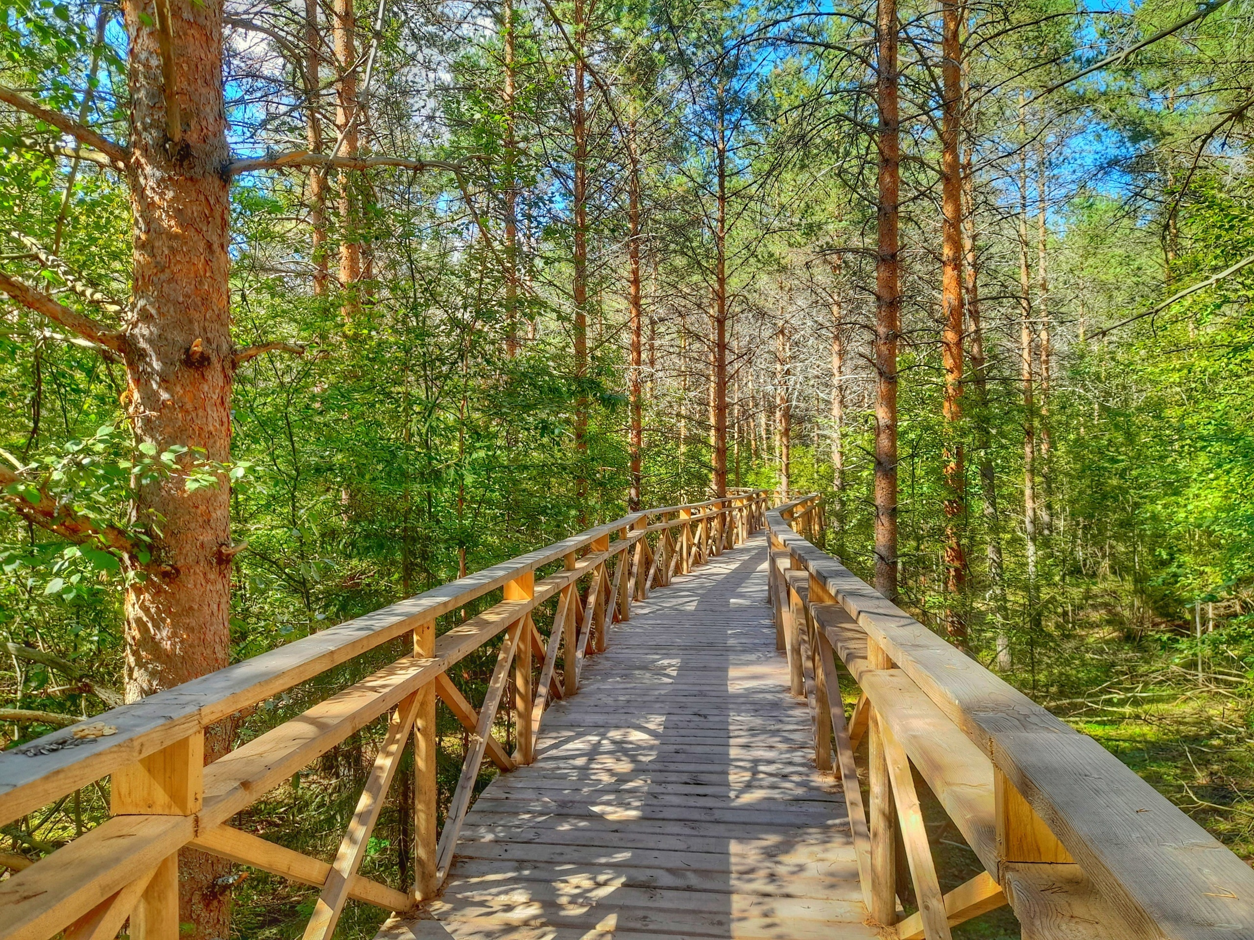 Парк дикий удмуртская республика селтинский район фото Акции - Дикий Парк
