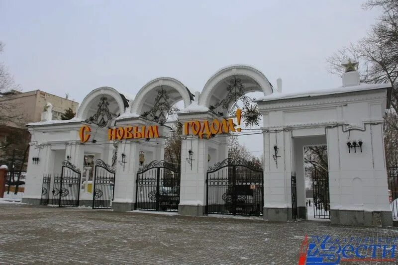 Парк динамо хабаровск фото В хабаровском парке "Динамо" установили елку