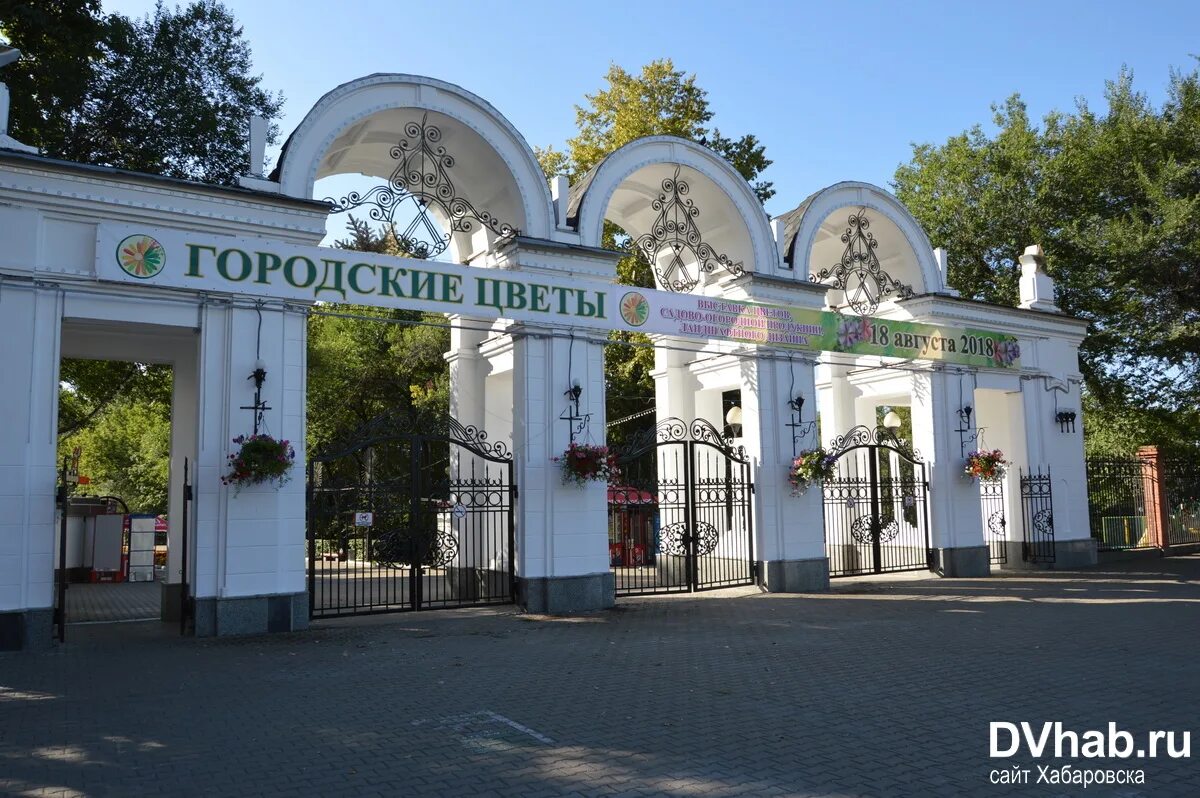 Парк динамо хабаровск фото Золотые" урны и лавочки за полмиллиона: во сколько обошелся дизайн парка "Динамо