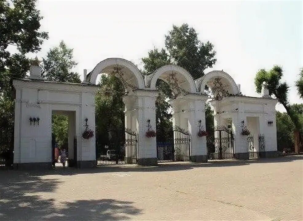 Парк динамо хабаровск фото День здоровья и спорта состоится в Хабаровске Акция пройдет 13 мая с 12:00 до 16
