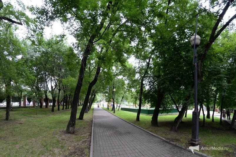 Парк динамо хабаровск фото Парк "Динамо" нужно обновлять и развивать, а не застраивать - эксперты (ВИДЕО) -