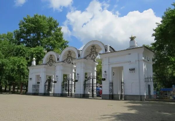 Парк динамо хабаровск фото Участники предварительного голосования встретятся с хабаровчанами в парке Динамо
