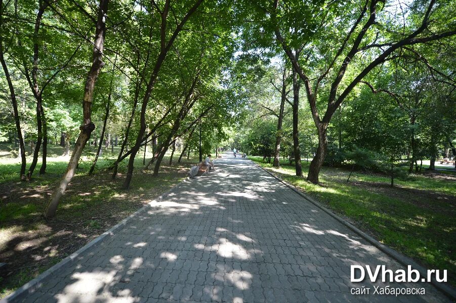 Парк динамо хабаровск фото Городской парк отдыха "Динамо" - Хабаровск