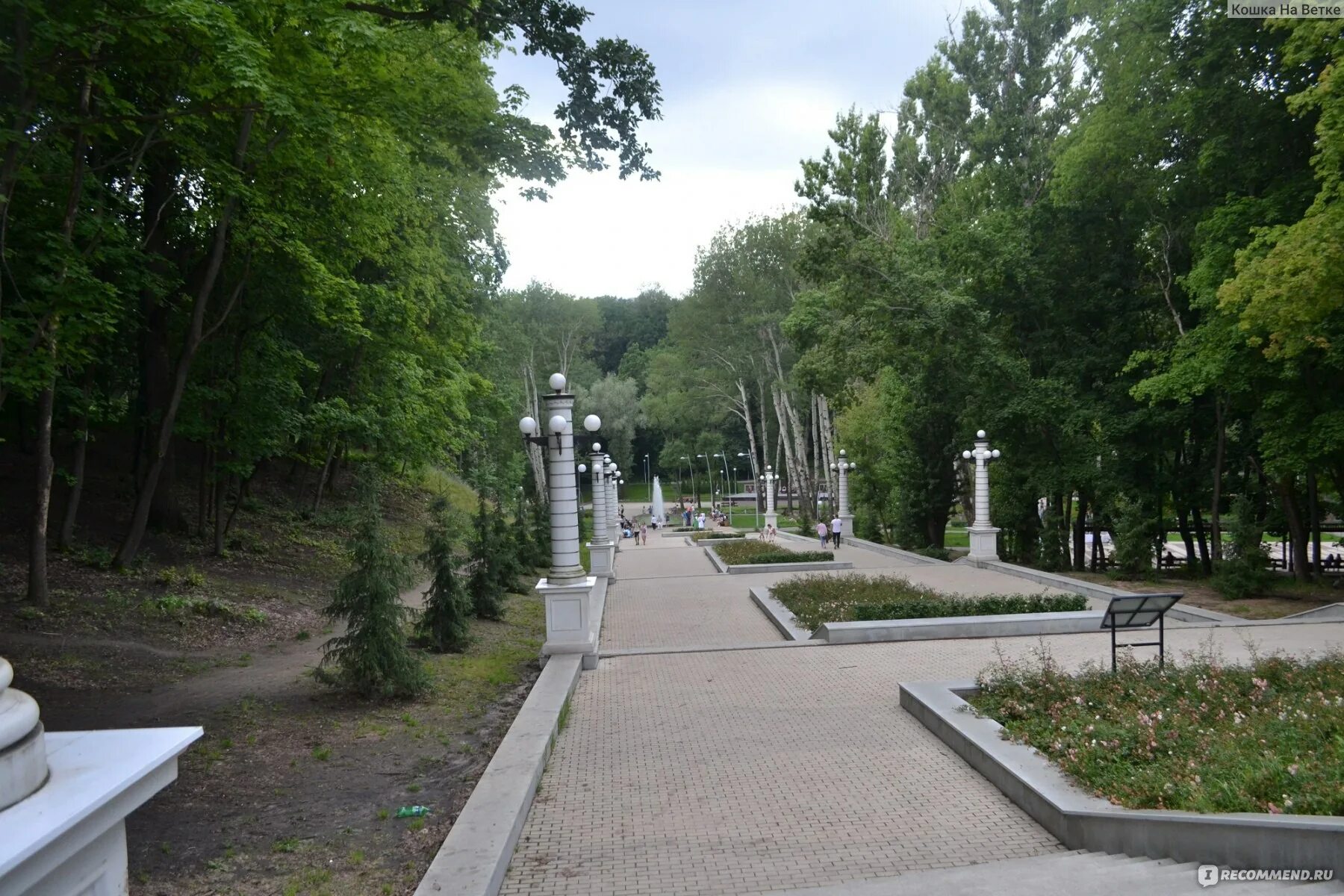 Парк динамо воронеж фото Парк отдыха "Динамо", Воронеж - "Жаль, что в парке Динамо Воронежа лошадок уже н