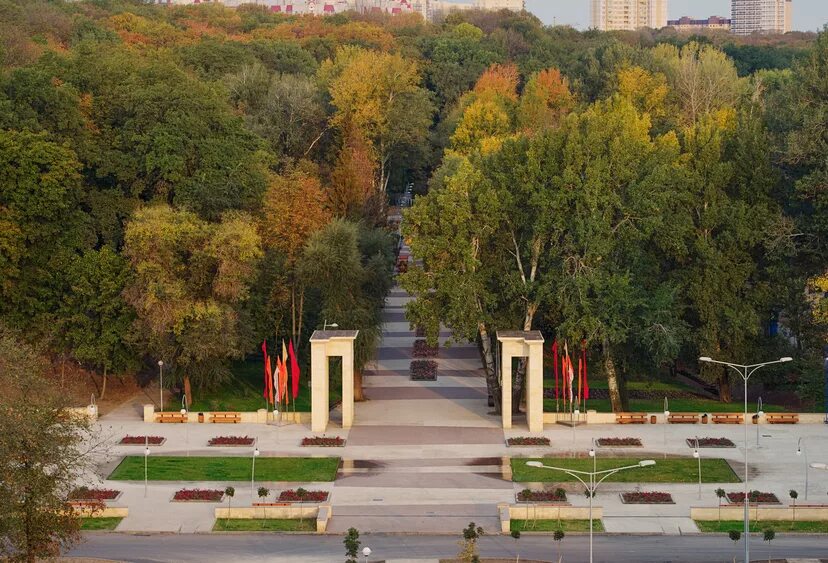 Парк динамо воронеж фото Реконструкция парка "Динамо" в Воронеже