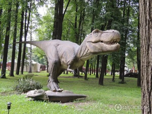 Парк динозавров тверь микрорайон брусилово фото Отзыв о Парк динозавров (Россия, Ярославль) Рекомендую для посещения с детьми.