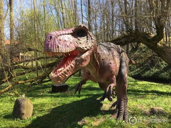 Парк динозавров тверь микрорайон брусилово фото Отзыв о Парк динозавров Dino park (Литва, Радайляй) Потрясающий парк для детей и