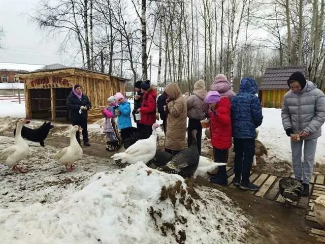 Парк добрый кислячиха фото Воспитанники Кинешемского детского дома посетили "Парк Добрый" - Приволжская пра