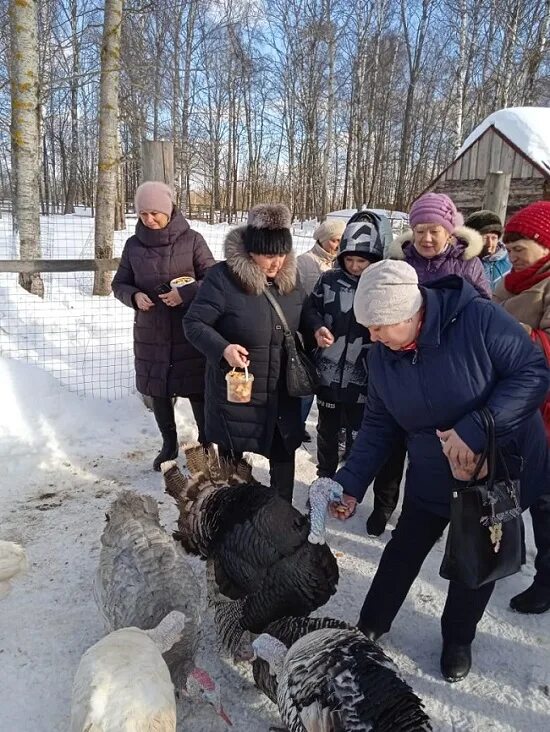 Парк добрый кислячиха фото Усадьба Носкова - парк "Добрый" " Ивановская областная организация ВОС