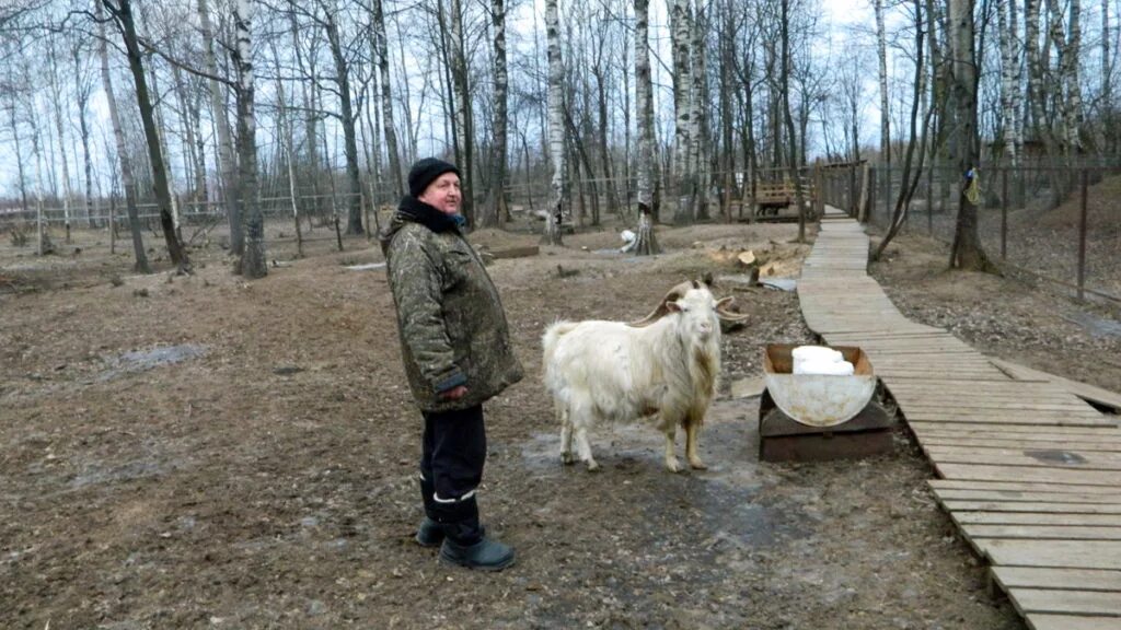 Парк добрый кислячиха фото Главный приз - семейный отдых в усадьбе Носкова в деревне Кислячиха (ВИДЕО) - Пр